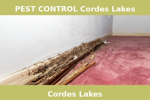 PEST CONTROL Cordes Lakes